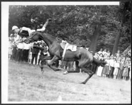 Horse Throws Jockey Brookline Country Club MA #1 - Leslie R. Jones Photo - £23.85 GBP