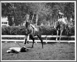 Horse Throws Jockey Brookline Country Club MA #2 - Leslie R. Jones Photo - £23.53 GBP