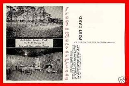 Post Card SC Hardeeville Ard-Mar Trailer Park Hi-Way 17, South Carolina Unused - £7.72 GBP