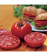 SYR 50 Seeds Burpees Burger Tomato Juicy Tomatoe Vegetable Edible Food F... - $13.43