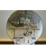Royal Worcester Collector Plate - &quot;Two Against One&quot;, Kittens &amp; Puppy - 1989 - £10.34 GBP