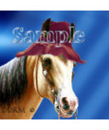 Avatar Horse with hat Digital Designed Pro Quality - $3.00