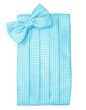 Turquoise Satin Cummerbund and Bow Tie in Assorted Patterns - £67.23 GBP