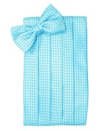Turquoise Satin Cummerbund and Bow Tie in Assorted Patterns - $85.50
