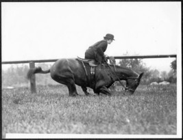 Horse Down on Knees Before Jump - Leslie R. Jones 9x7 Photo - £18.49 GBP