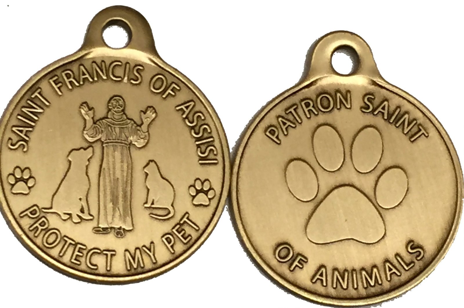 Saint Francis of Assisi Patron Saint Of Pets / Protect My Pet Bronze Dog Cat ...