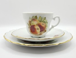 Vtg Schumann Arzberg Germany Tea Set Cup &amp; Saucer Dessert Plate Apple Fruit - £15.75 GBP