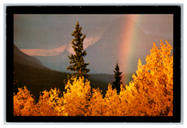 Suddenly A Rainbow Over Fall Foliage Big Sky Montana Postcard Unposted - £3.83 GBP