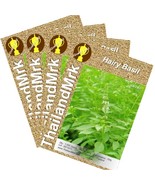Thai Hairy Basil Lemon basil 4 Bulk ThailandMrk - $8.26 CAD