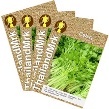 Thai Celery Apium graveolens 4 Bulk ThailandMrk - $6.00