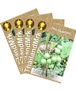 Thai Eggplant Pea 4 Bulk ThailandMrk - $8.23 CAD