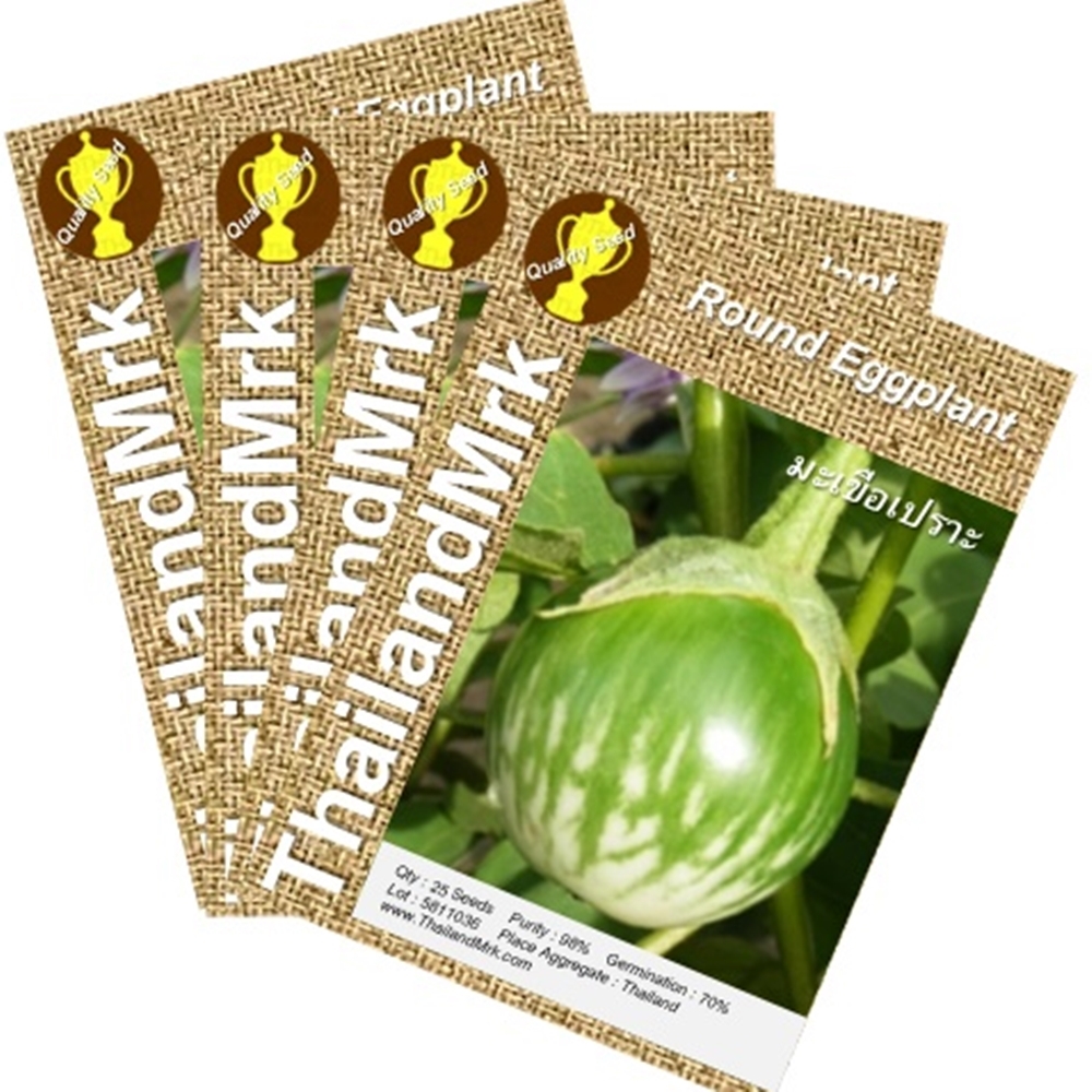 Primary image for Thai Eggplant 4 Bulk ThailandMrk