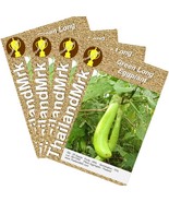 Thai Green Long Eggplant 4 Bulk ThailandMrk - $8.26 CAD