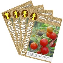 Thai Mini Tomato 4 Bulk ThailandMrk - $112.04 MXN