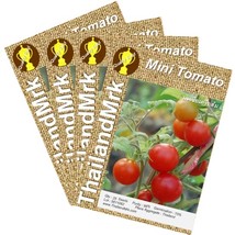 Thai Mini Tomato 4 Bulk ThailandMrk - $6.00