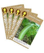 Thai Smooth loofah Luffa cylindrica Cucurbitaceae 4 Bulk ThailandMrk - $8.26 CAD