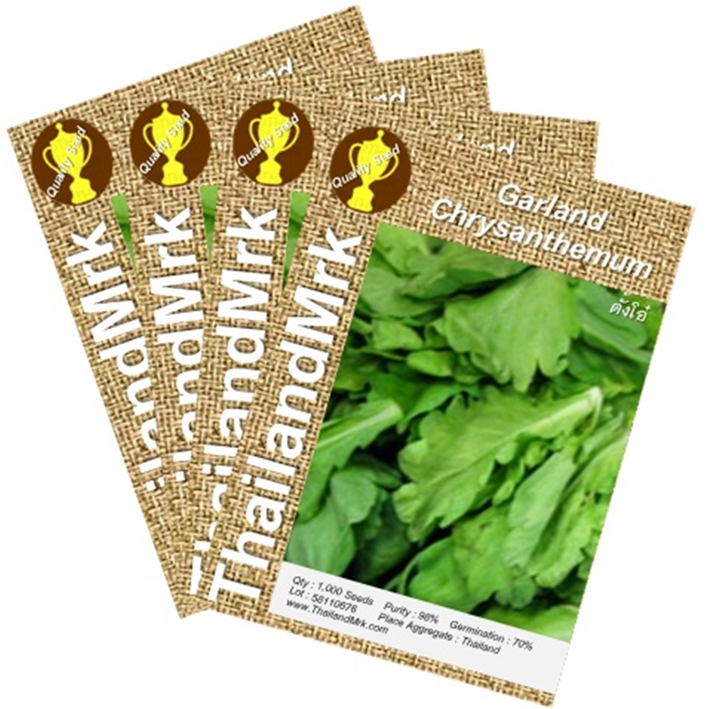 Thai Garland Chrysanthemum Asteraceae 4 Bulk ThailandMrk