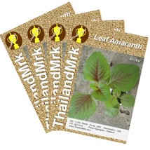 Thai Leaf Amaranth 4 Bulk ThailandMrk - $6.00