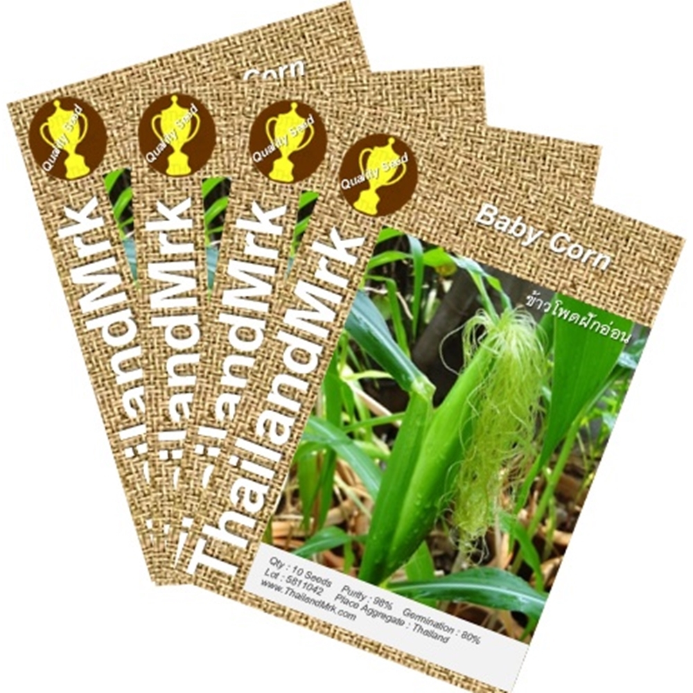Thai Baby Corn 4 Bulk ThailandMrk