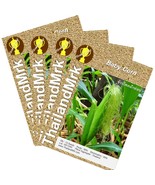 Thai Baby Corn 4 Bulk ThailandMrk - $8.26 CAD