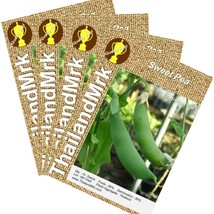 Thai Sweet Pea Pisum sativum Fabaceae 4 Bulk ThailandMrk - £4.71 GBP