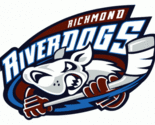 Richmond River Dogs Defunct UHL Hockey Mens Polo XS-6X, LT-4XLT Virginia... - $26.99+