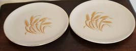 Vintage Golden Wheat Gold Trim Made in the USA Set of Five (5) Ceramic Plates - £17.57 GBP