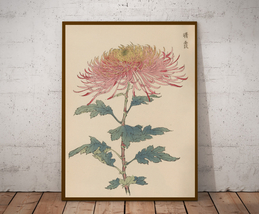 Floral Illustration, Japanese art, Chrysanthemum Flower, Poster and Canvas - $14.00+