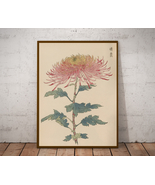 Floral Illustration, Japanese art, Chrysanthemum Flower, Poster and Canvas - £9.50 GBP+