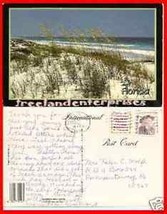 Post Card FL Florida Sea-Oats 1991 post card OLD 15 cent stamp 1991 - £7.82 GBP