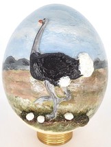 Ostrich Egg Hand Painted 3D Ostrich in Nest Scene on Real Ostrich Egg ZC1-3 - £234.63 GBP