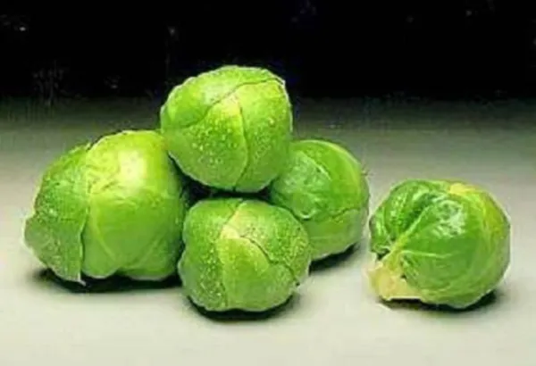 Top Seller 1000 Long Island Improved Brussel Sprouts Brassica Oleracea V... - £11.46 GBP