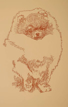 Pomeranian Dog Art Word Drawing Print #48 Kline draws your dogs name fre... - $49.95