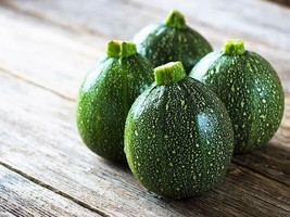 SEPT 20 Fresh Premium Round Zucchini Squash Seeds B 52 - $5.88