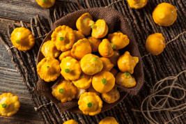 50 Early Yellow Bh Patty Pan Scallop Squash Seeds Pattypan Vegetable Seeds - £7.65 GBP
