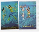 4 Weeki Wachee Florida Mermaid Wizard of Oz Postcards 1960&#39;s - £22.15 GBP