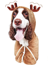 Medium Hooded Bath Robe for Pet Adjustable Reindeer Fast Drying Microfib... - $5.93