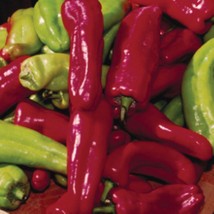 20 Cubanelle Pepper Seed Sweet Spicy Pepper Fast US Shipping - £12.70 GBP