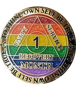 1 Month AA Medallion Reflex Rainbow Glitter and Gold Plated 30 Day Chip - £11.83 GBP