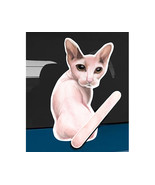 Sphynx cat rear window wiper wagging tail sticker - $17.64 CAD