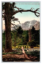 Mount Tallac from Tallac Lake Tahoe California CA UNP DB Postcard T1 - $5.31