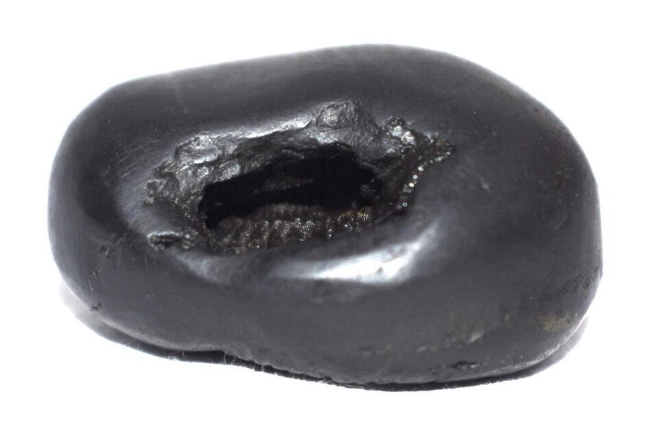 Shesha Shaligram / Ananta Shesha Salagram - Gandaki River Nepal Item image 6