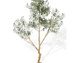 Artificial Olive Tree Tall Fake Potted Natural Silk Tree With Planter La... - $179.54