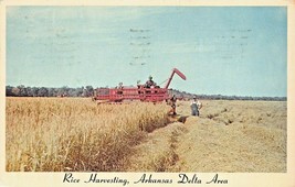 Grand Prairie Of Arkansas~Rice Harvesting In Delta Area~Agriculture Postcard - £6.46 GBP