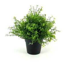 IKEA FEJKA Artificial Potted Plant Indoor/Outdoor Baby’s Tears  8&quot; Height  New - £13.57 GBP