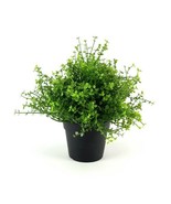 IKEA FEJKA Artificial Potted Plant Indoor/Outdoor Baby’s Tears  8&quot; Heigh... - £13.58 GBP