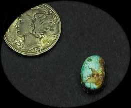 2.5 cwt Tortoise Mountain Turquoise Cabochon - $281.60 MXN