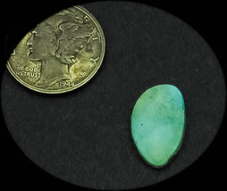 3.0 cwt Tortoise Mountain Turquoise Cabochon - $319.15 MXN