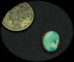 3.0 cwt Tortoise Mountain Turquoise Cabochon - $319.15 MXN