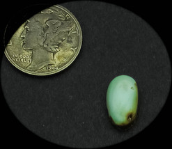 3.0 cwt Tortoise Mountain Turquoise Cabochon - $319.15 MXN